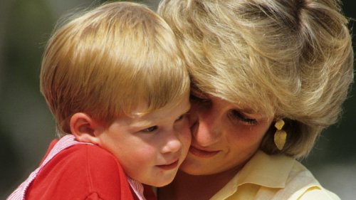 Prince Harry's Shocking Interview: Princess Diana's Potential Reaction