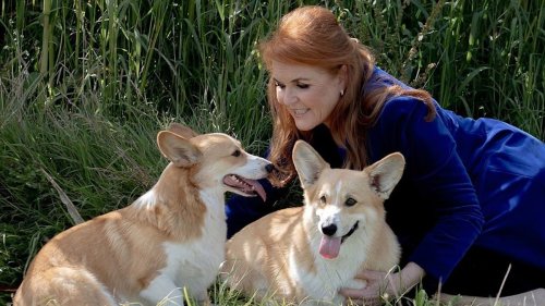 Sarah Ferguson reveals special treat she makes for late Queen's corgis during surprise family outing