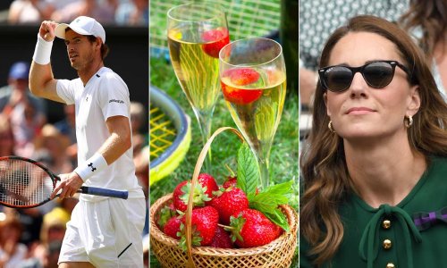 Where to watch Wimbledon 2021 in London: 13 best places to enjoy the tennis