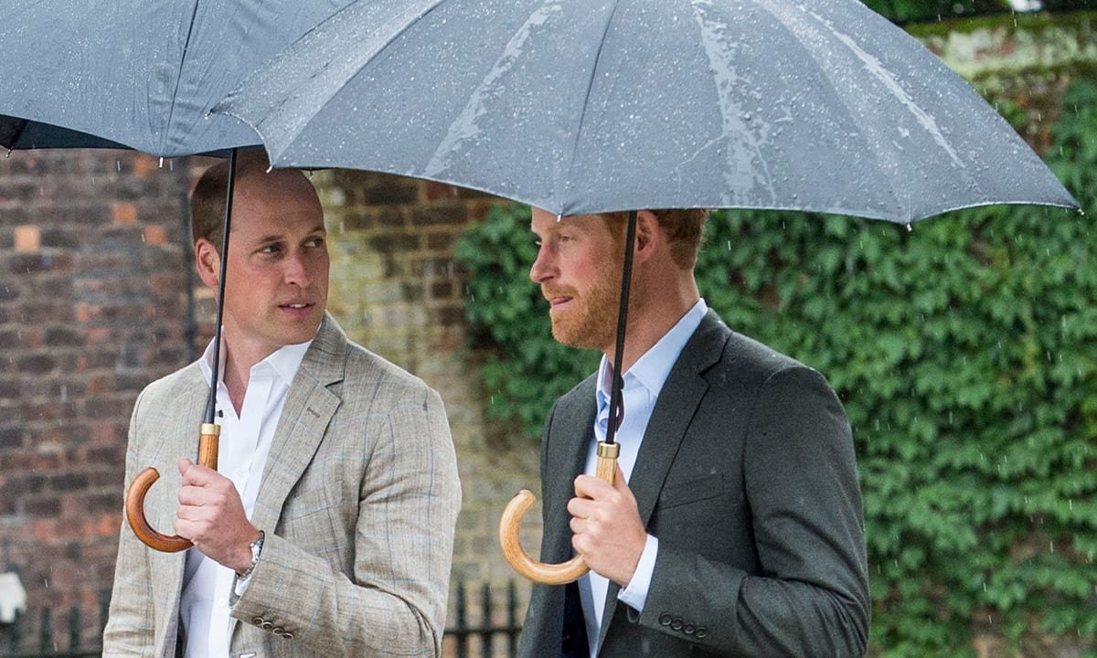 Prince William voices concerns for Prince Harry's privacy in unearthed clip at home