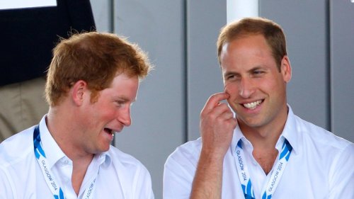 Prince William's ultra-posh hobby Prince Harry teased him about