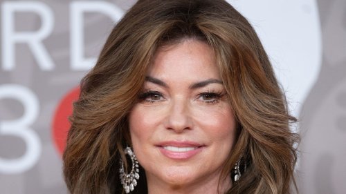 Shania Twain is a vision in daring skintight look for 'racy' snap