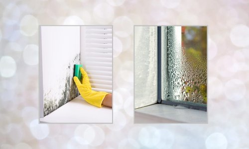 How To Remove Mould From Walls Your Expert Guide Flipboard
