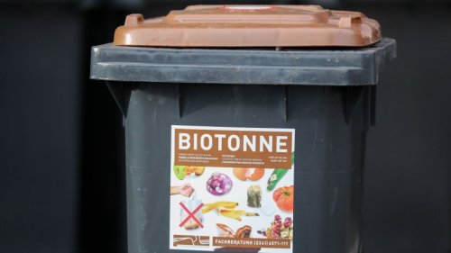 Mehr Biotonnen, mehr Gas? Müllbranche fordert Maßnahmen