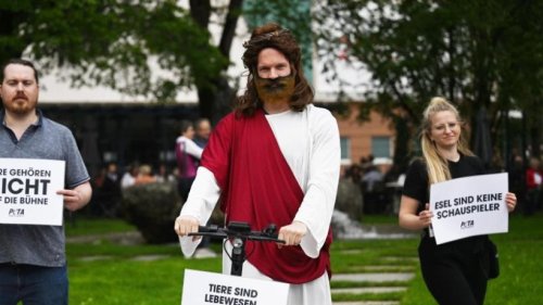 Sorge um Esel: Tierschützer fordern E-Scooter für Jesus
