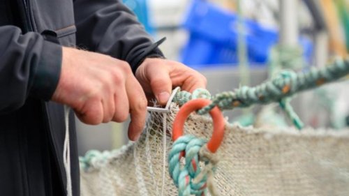 Minister sollen schädliche Fischerei-Hilfen stoppen
