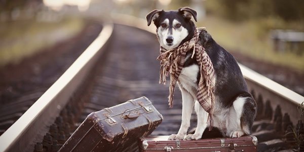 RELOCATION DESTINATION