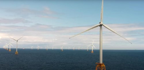 'Financial disaster': Scotland faces loss of £60bn in new offshore windfarms