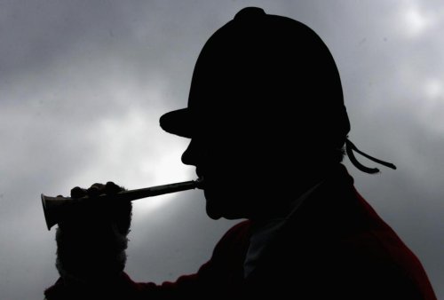 MSPs agree to overhaul fox hunting laws but demand 'urgent' clarifications