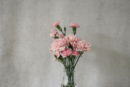 How Dolly Parton Inspired Me To Be Kind