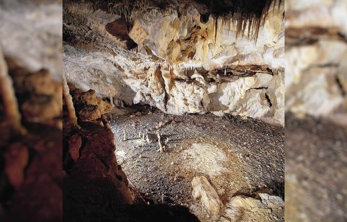 16,800-year-old Palaeolithic dwelling found in La Garma cave