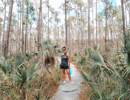 The Best Hikes in Everglades National Park