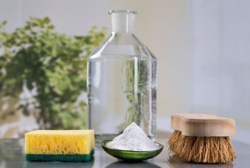 30 Things You Should Be Cleaning with Vinegar - HGTV Canada