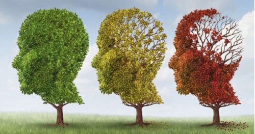 Пациентам с болезнью Альцгеймера дали надежду на восстановление памяти - Hi-News.ru