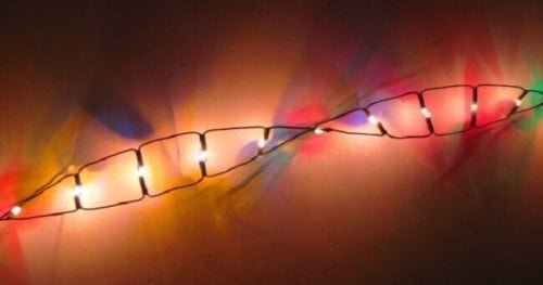 Насколько функциональна наша ДНК? - Hi-News.ru