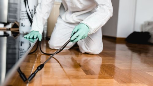 Pest Control Missoula, MT | Shield Pest Defense