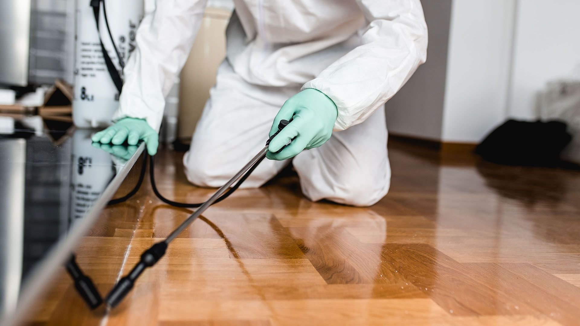 Pest Control cover image