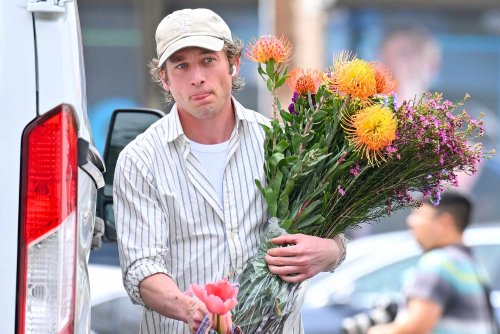 Big Fits, Bigger Flowers: Jeremy Allen White Is Always at the Farmer's Market