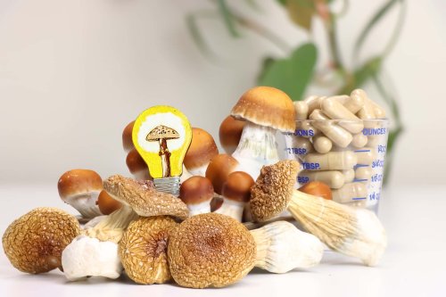 Magic Mushroom Dosing Tips