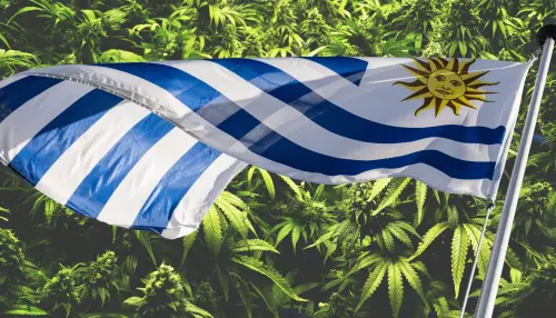 Diputado de Uruguay Presentó Proyecto para Legalizar el Cannabis para Turistas Diputado Uruguayo Presentó Proyecto para Legalizar el Cannabis para Turistas: Hablamos con Eduardo Antonini | High Times