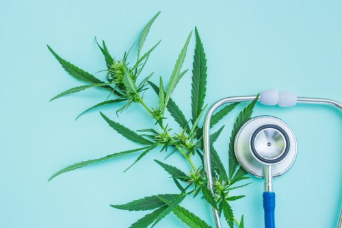 Georgia Department of Health Reports Discovery of Inflated Cannabis Patient Number | High Times