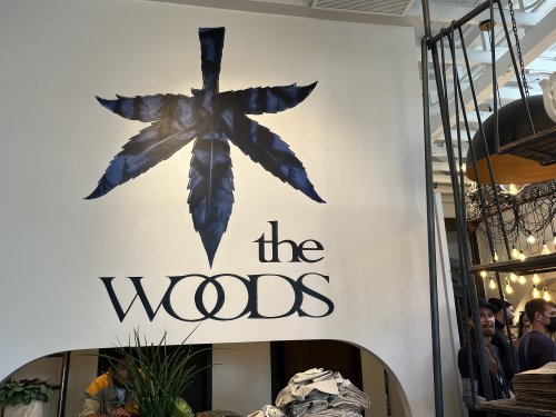 Woody Harrelson's New Cannabis Lounge, The Woods, is Open for Business | High Times