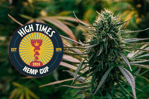 Announcing The High Times Hemp Cup: People’s Choice Edition 2024 | High Times