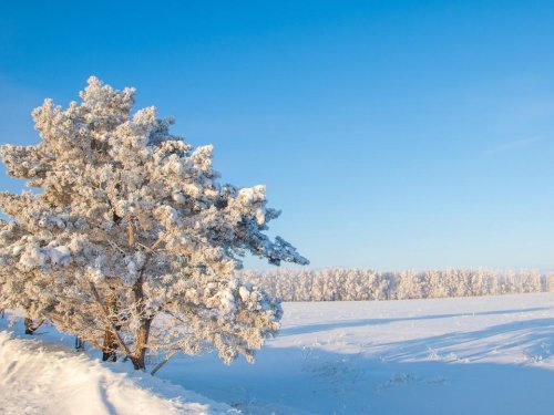 Schöne Winterausflüge in Bayern für die kalte Jahreszeit