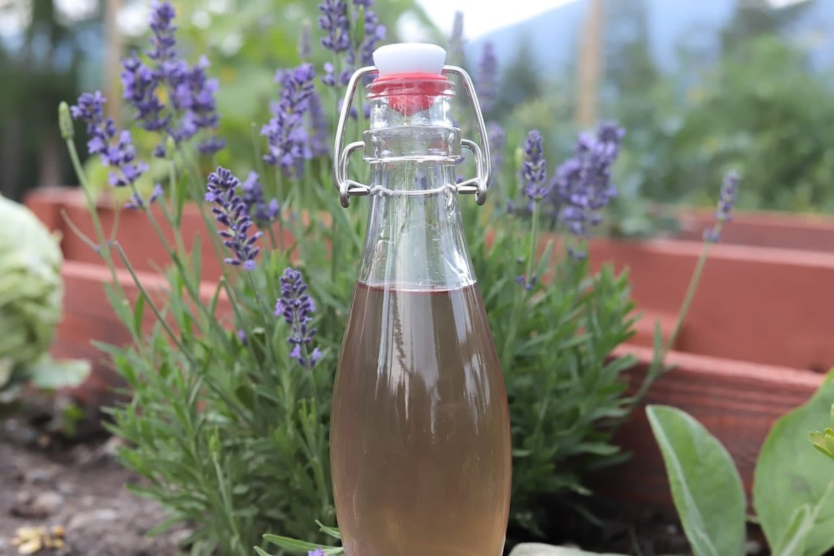 Lavender Simple Syrup Recipe