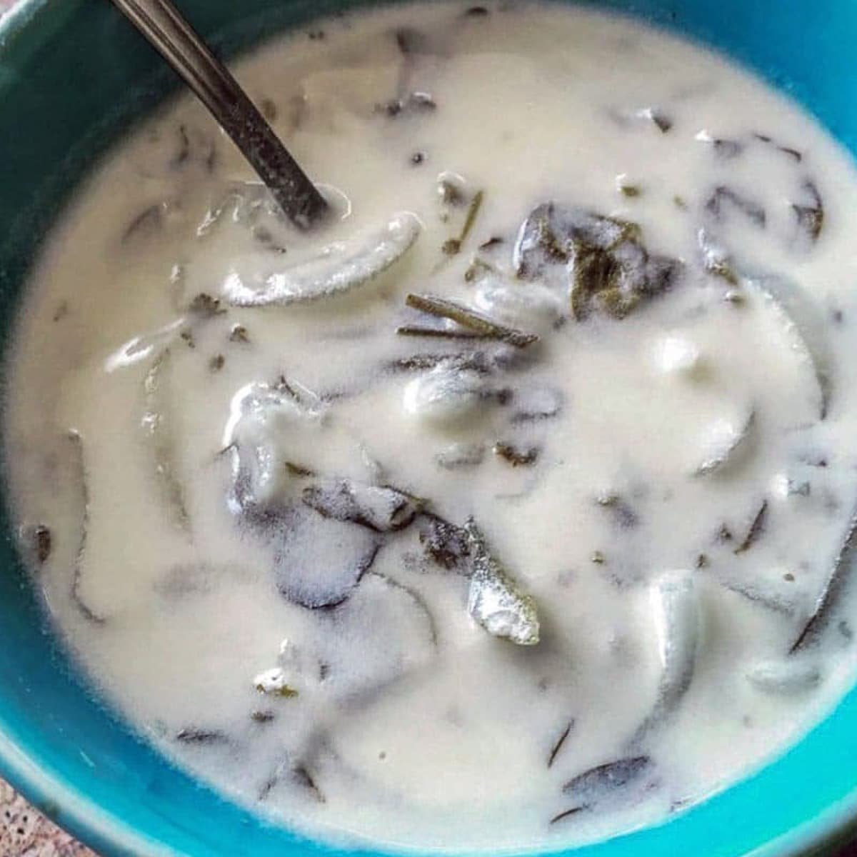 Creamy Yogurt and Herb Soup (Booshala) | Hilda's Kitchen Blog