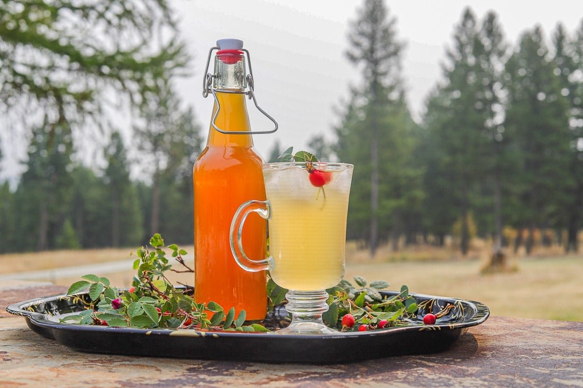 How to Make Rosehip Syrup