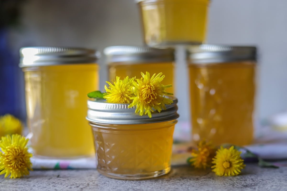 Wild Dandelion Jelly
