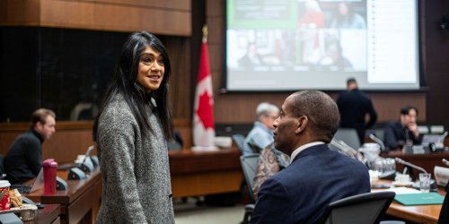Liberals' filibuster at House Affairs ‘ugly to watch,’ but it's a ‘survival technique,' say pollsters and politicos