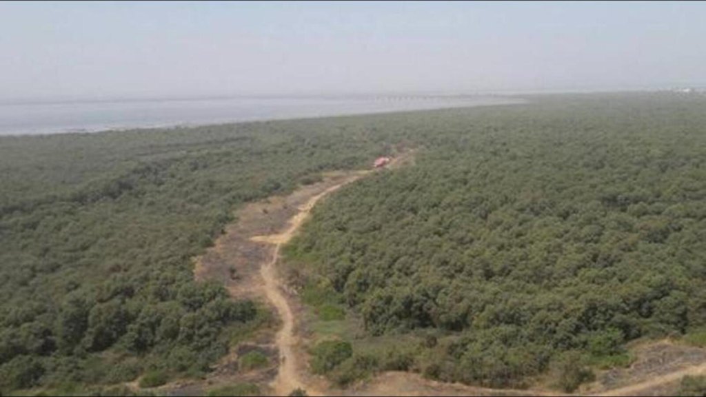 Environment
