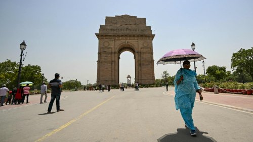 From green roofs to cooling centres: Delhi govt’s heatwave battle plan for 2025