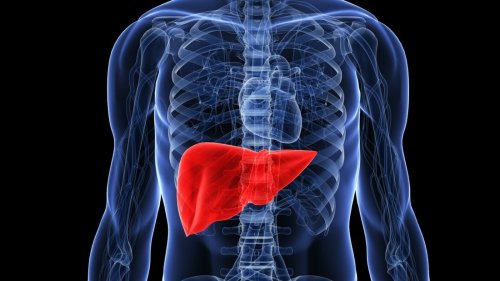 Fatty liver cure tips: Nutritional diet, supplements, lifestyle, fitness tweaks