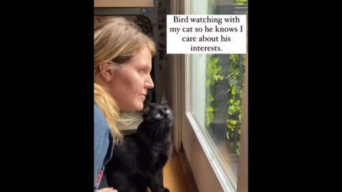 Woman birdwatches with her pet cat for this cute reason. Watch