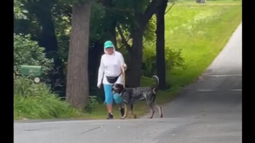 Dog waits every morning to join neighbour in her leisurely walks. Watch