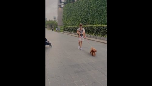 Aparshakti Khurana goes for a stroll with his daughter and dog, video is too cute to handle