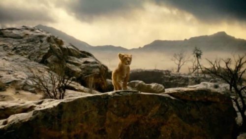 Mufasa: The Lion King trailer teases big adventures; fans can't decide between Shah Rukh Khan and Mahesh Babu voiceovers