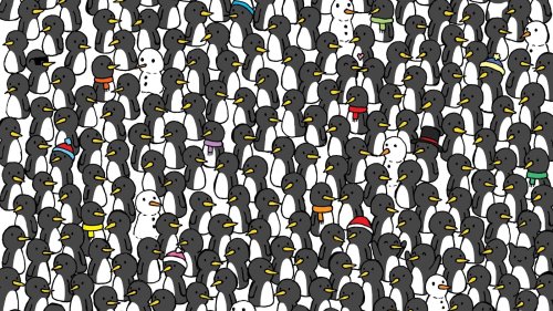 Can you spot three cats hidden among penguins in this viral brain teaser?