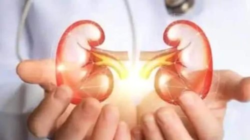 Lalu Prasad Yadav's kidney transplant: Expert tips on dos and don'ts