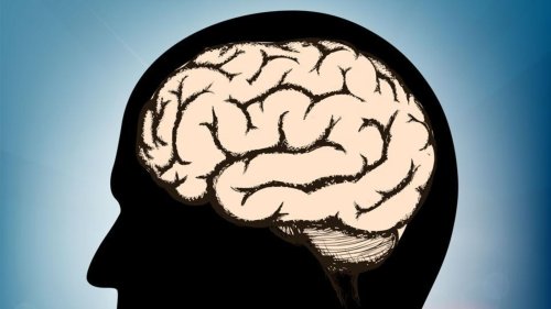 How monitoring blood vessel changes improves detection of brain diseases: Study