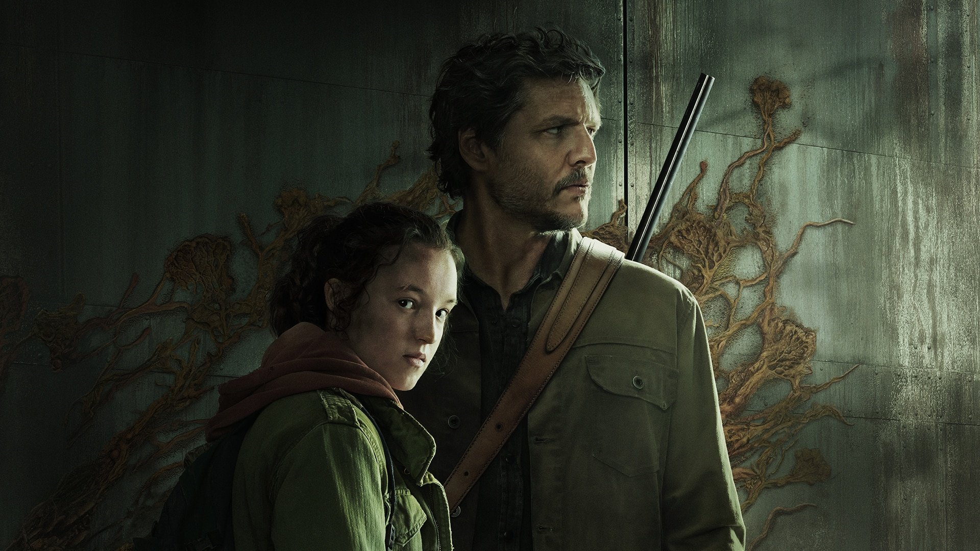 Las redes de hongos de 'The Last of Us' existen en la vida real