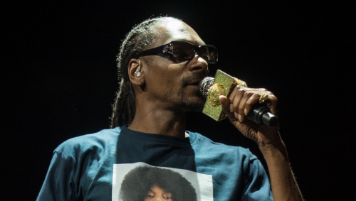 pop funko snoop dogg