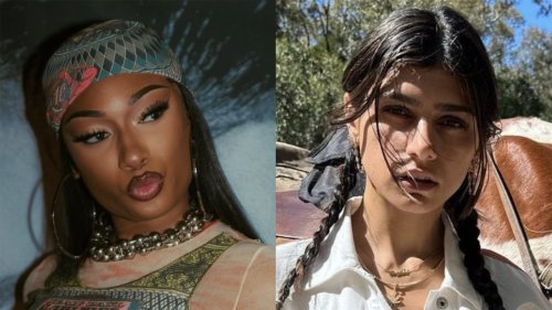 Megan Thee Stallion Inspires Former Adult Film Star To Flash Her Boobs