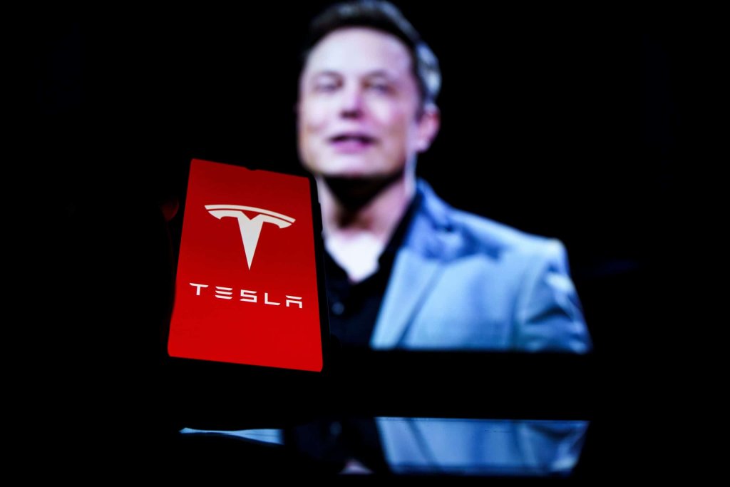 Everything Elon - cover