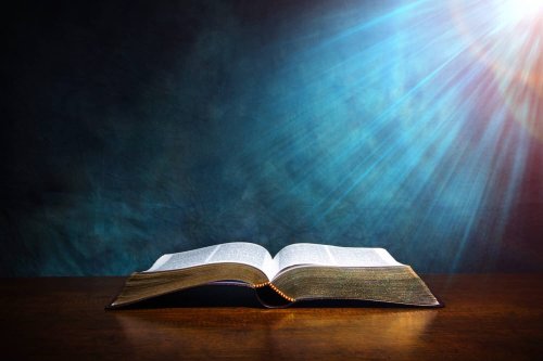 Fascinating Bible Facts - cover