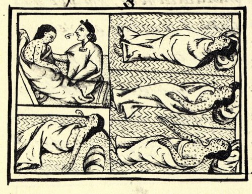 The Worst Epidemic in History? The Scourge of Smallpox in the Americas