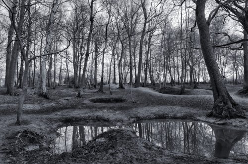 War Is Hell on The Environment Flipboard